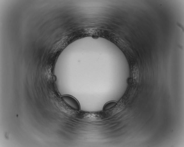 X0000100500611200806271300