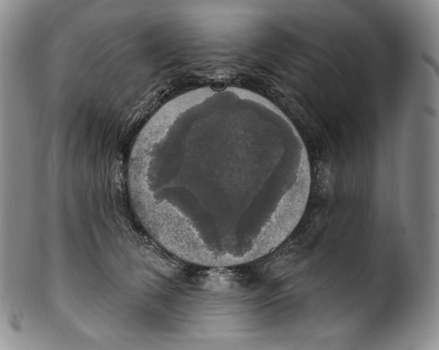 X0000100500612200806271300