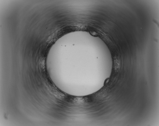 X0000100500613200806271300