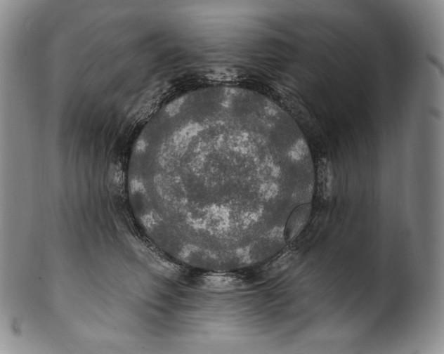 X0000100500614200806271300