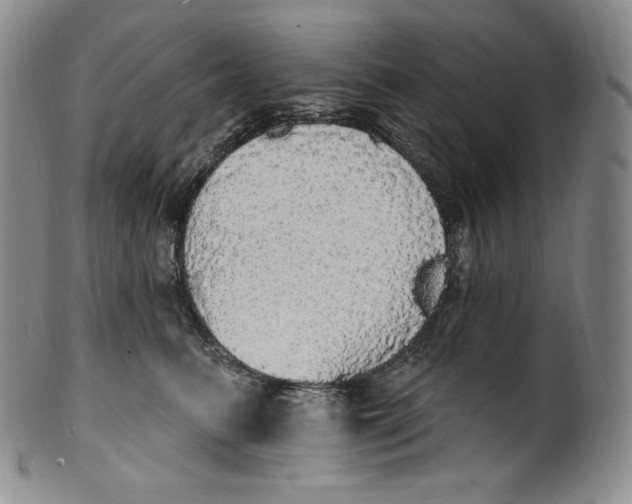 X0000100500615200806271300