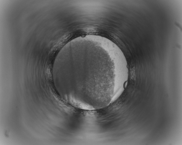 X0000100500618200806271300