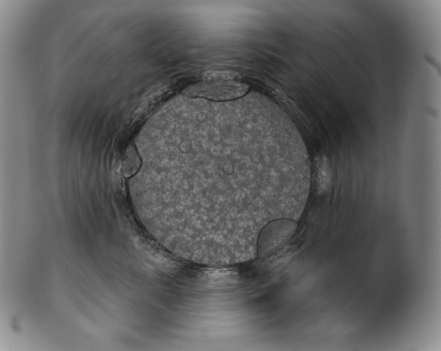 X0000100500619200806271300