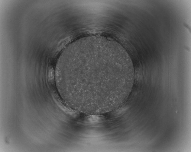 X0000100500623200806271300