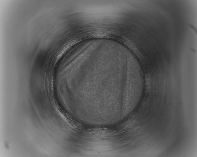 X0000100500626200806271259