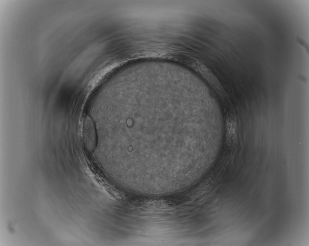 X0000100500628200806271300