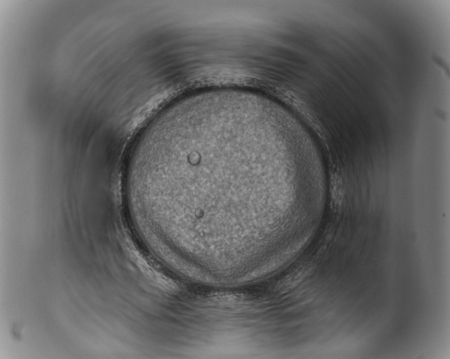 X0000100500629200806271300