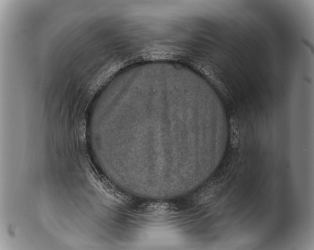 X0000100500631200806271300