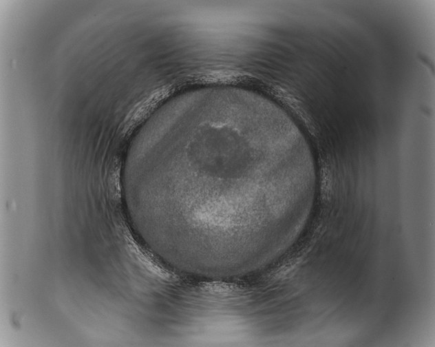 X0000100500633200806271300