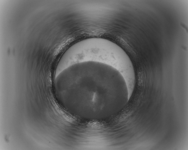 X0000100500634200806271300