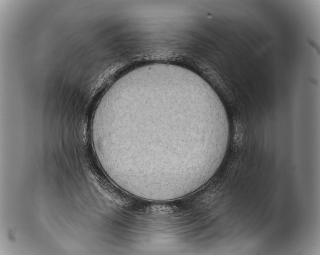 X0000100500636200806271300