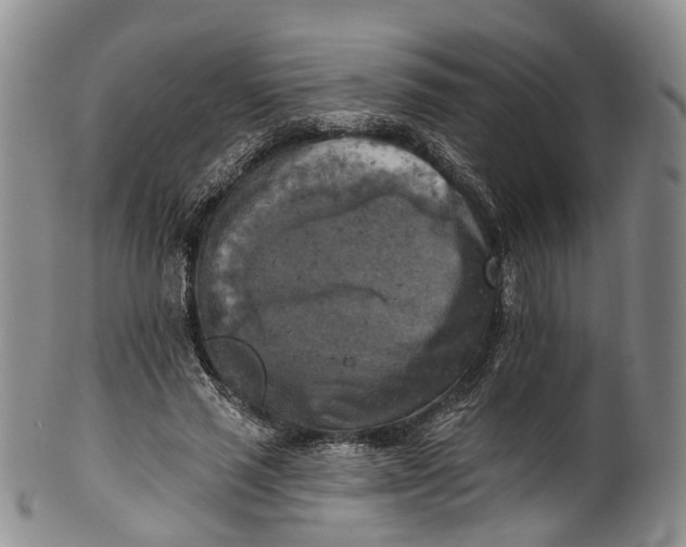 X0000100500637200806271300