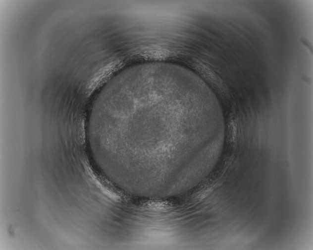 X0000100500638200806271300