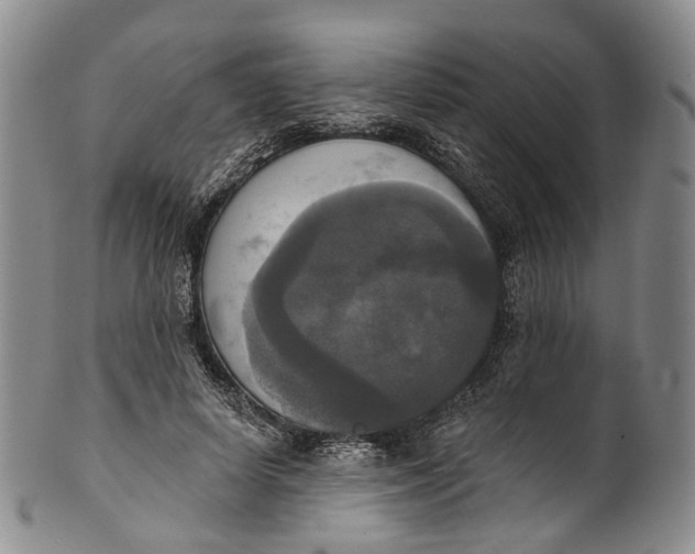 X0000100500642200806271300