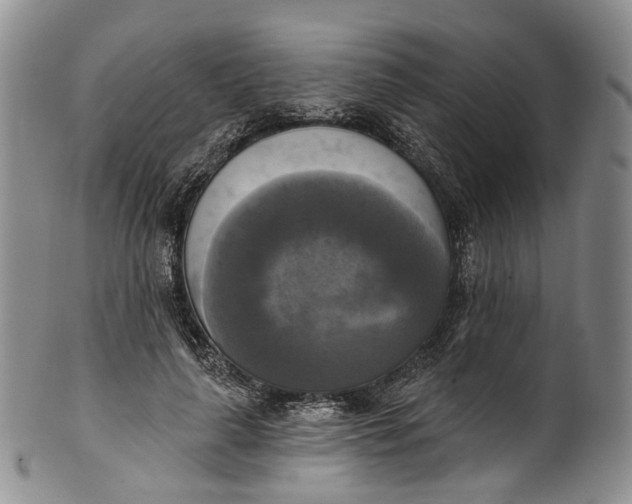 X0000100500643200806271300