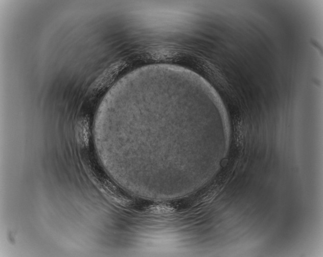 X0000100500644200806271300