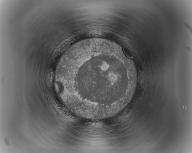 X0000100500645200806271300