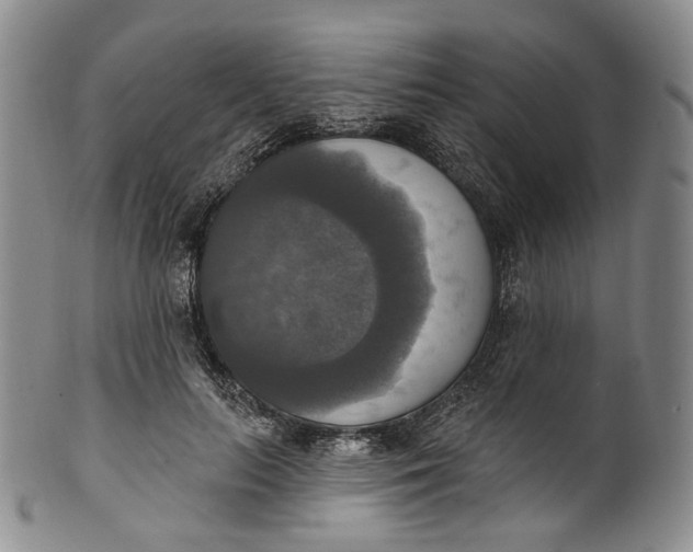 X0000100500647200806271300