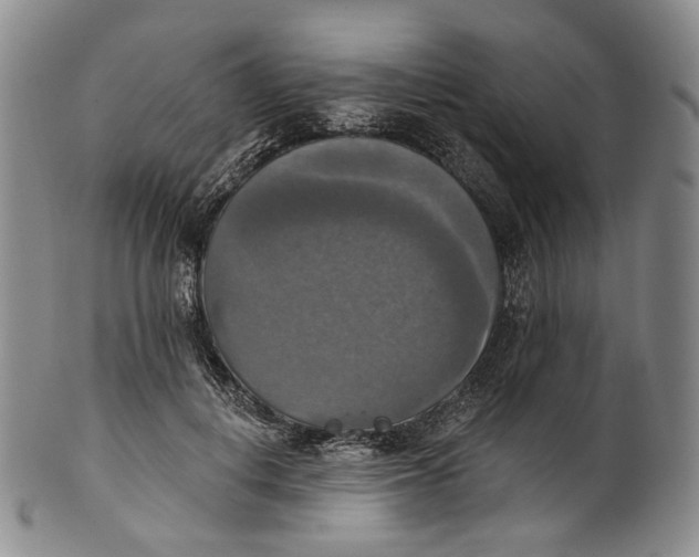 X0000100500648200806271300