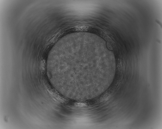 X0000100500649200806271300