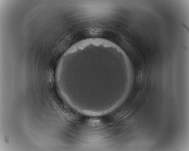 X0000100500651200806271300