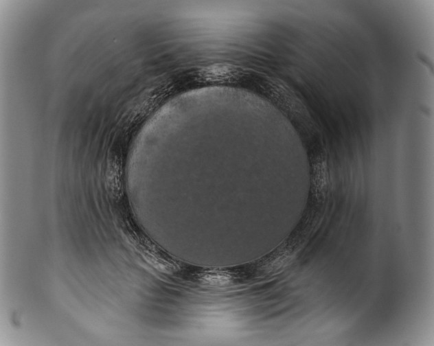 X0000100500653200806271300