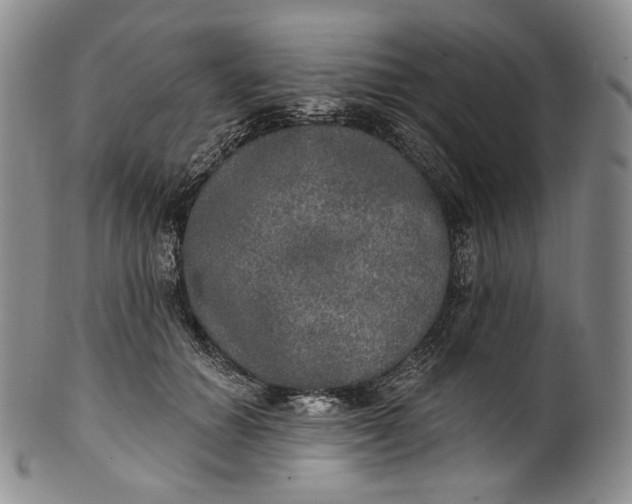 X0000100500654200806271300