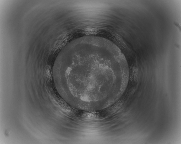 X0000100500655200806271300