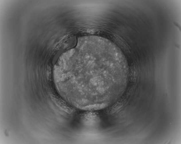 X0000100500656200806271300