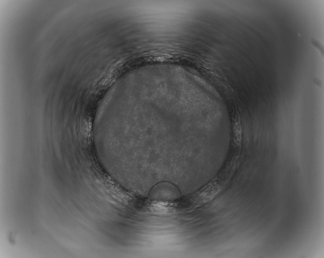 X0000100500657200806271300