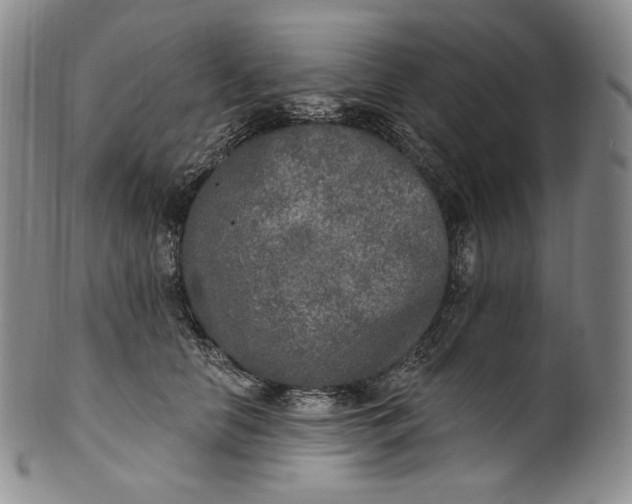 X0000100500658200806271300