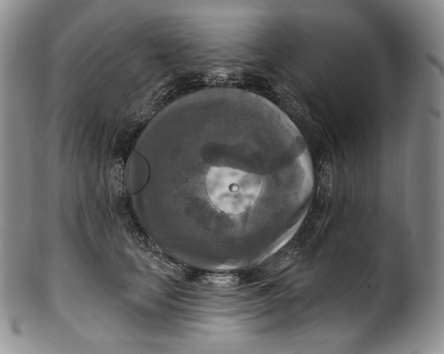 X0000100500659200806271300