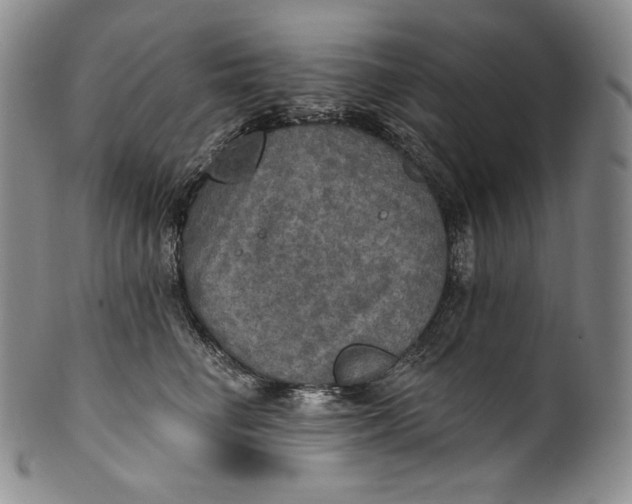 X0000100500662200806271300