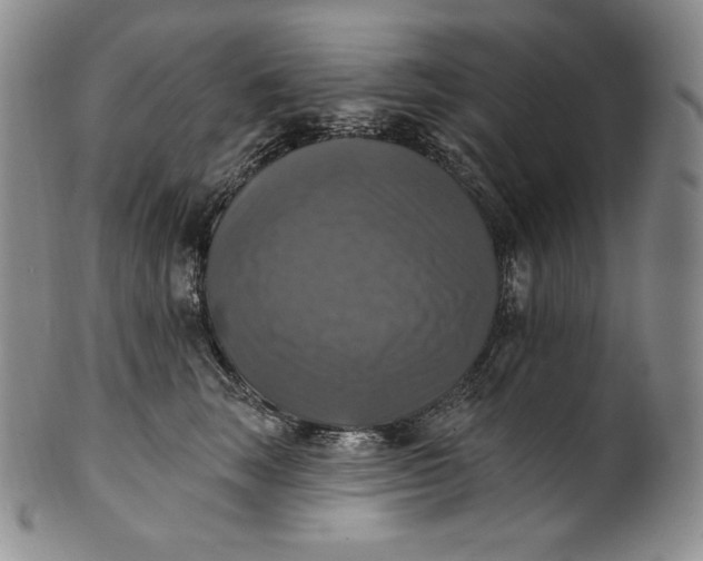 X0000100500663200806271300