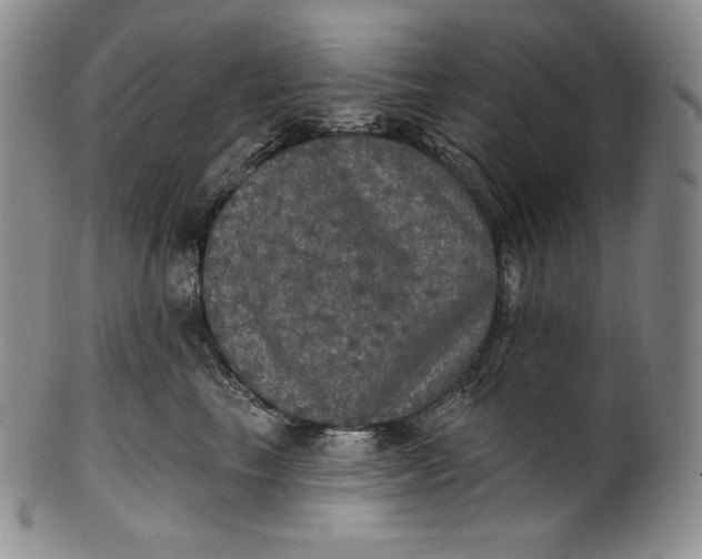 X0000100500665200806271300