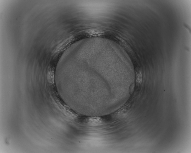 X0000100500666200806271300