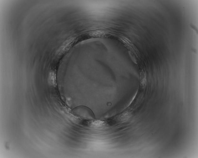 X0000100500669200806271300