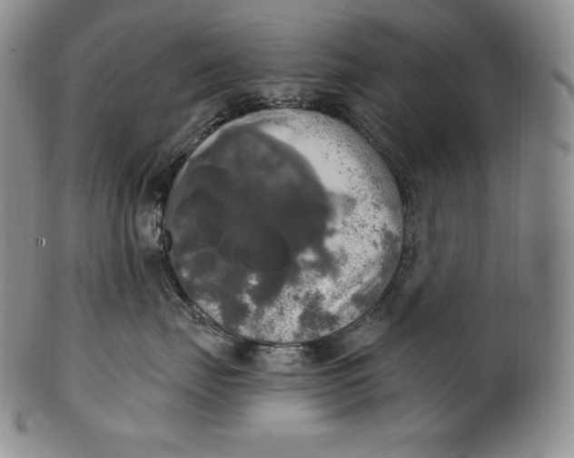 X0000100500671200806271300