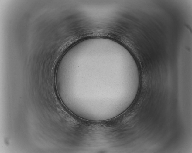 X0000100500673200806271259