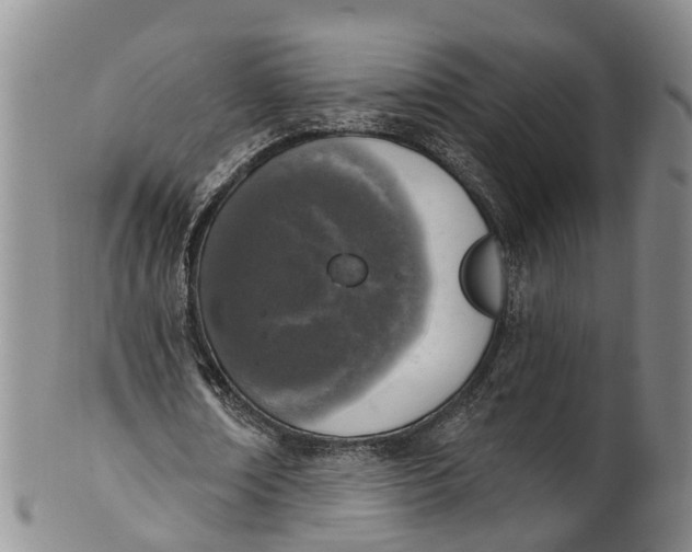 X0000100500674200806271259