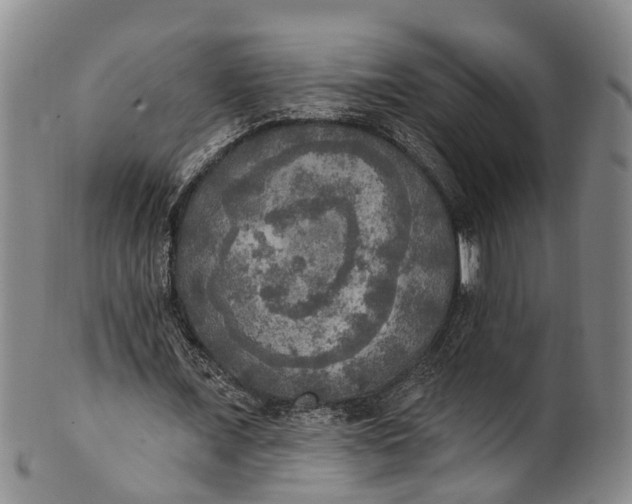 X0000100500675200806271259