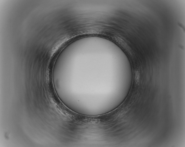 X0000100500676200806271259