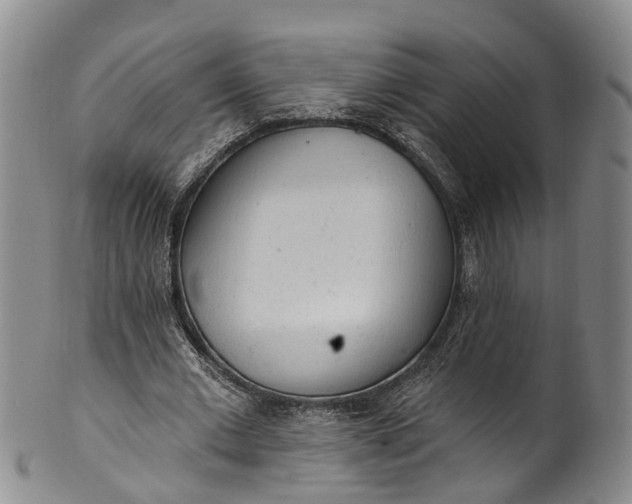 X0000100500677200806271259