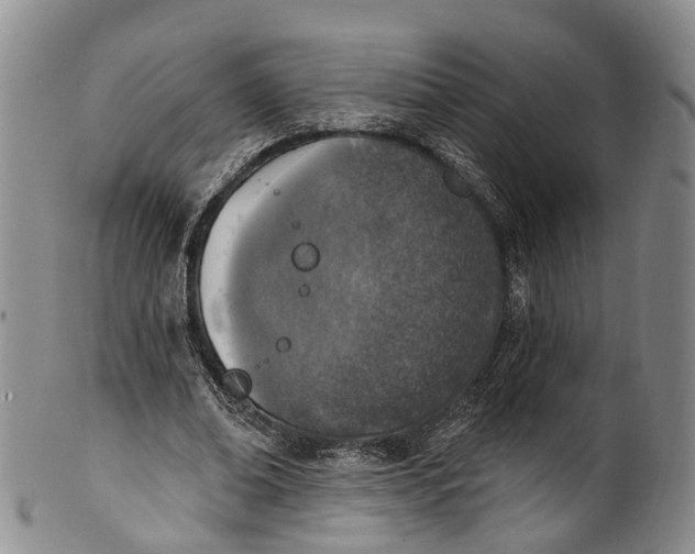 X0000100500678200806271259