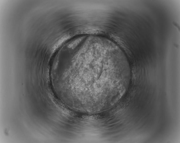 X0000100500679200806271259