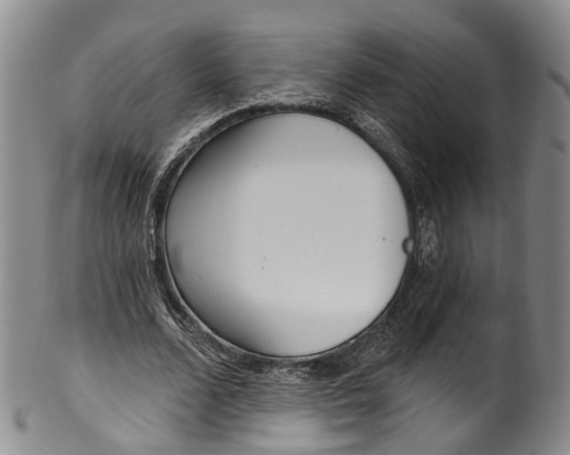 X0000100500680200806271259