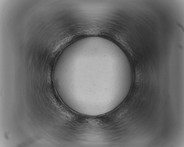 X0000100500681200806271259