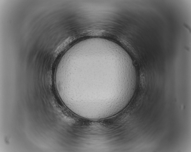 X0000100500682200806271259