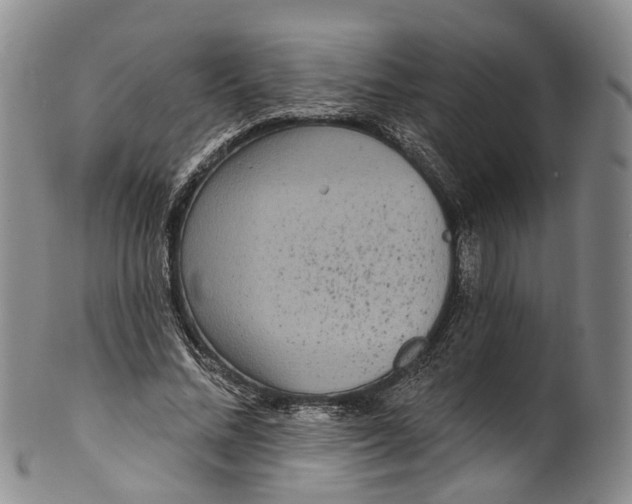 X0000100500684200806271259