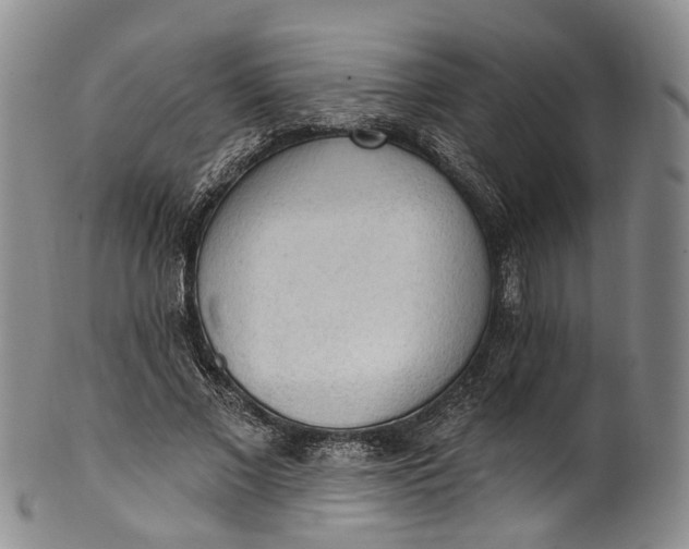 X0000100500685200806271259